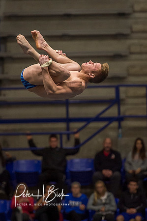 USA Diving 2015 3535
