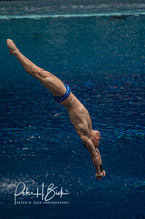USA Diving 2015 3541