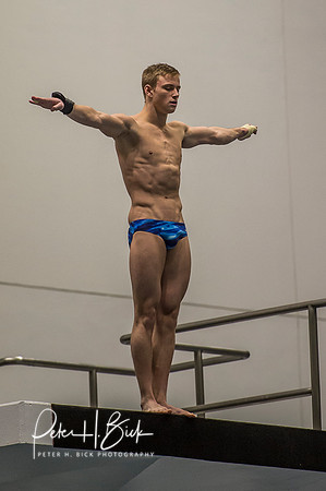 USA Diving 2015 3625