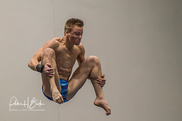 USA Diving 2015 3626