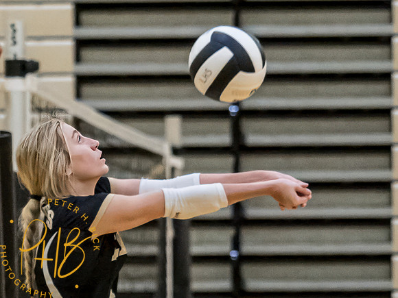 Lapel Volleyball 2023 0008-Edit