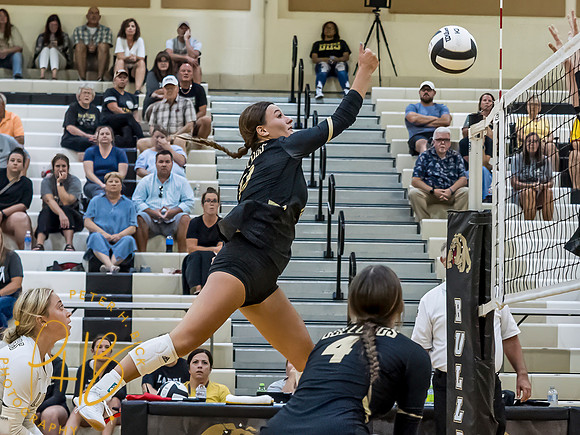 Lapel Volleyball 2023 0231-Edit
