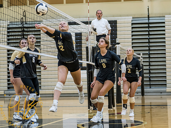 Lapel Volleyball 2023 0335-Edit