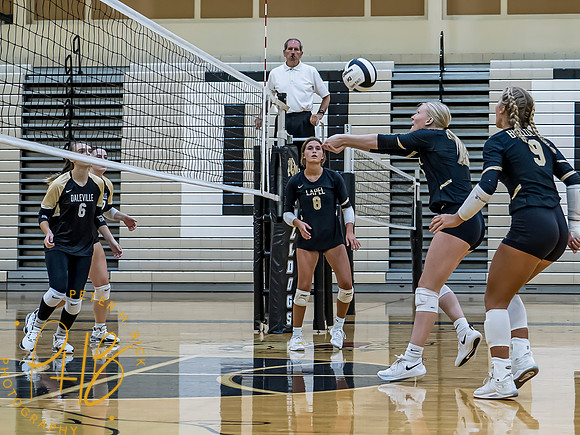 Lapel Volleyball 2023 0355-Edit