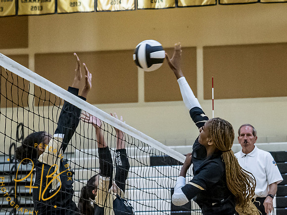 Lapel Volleyball 2023 0377-Edit