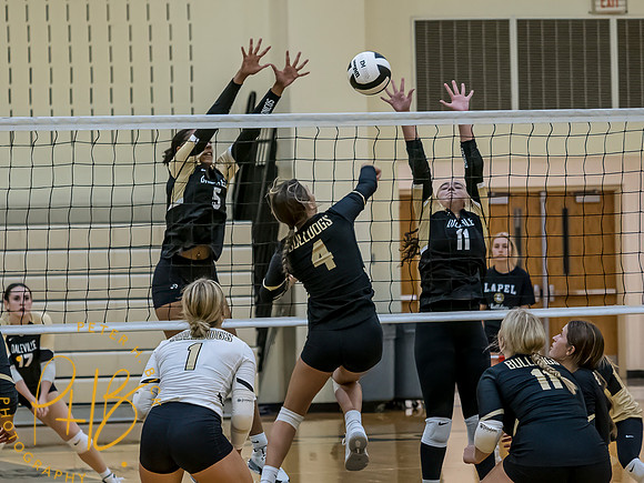 Lapel Volleyball 2023 0425-Edit