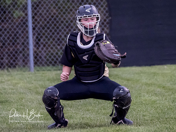 Lapel Softball 2019 0887