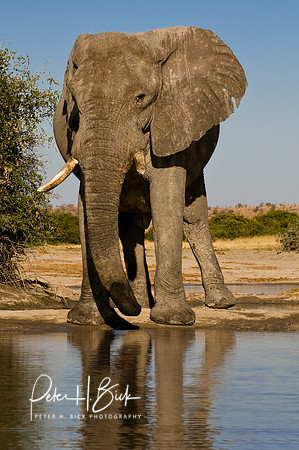 Africa 08 7623