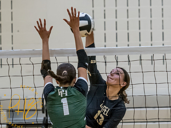 Lapel Volleyball 2023 0739-Edit