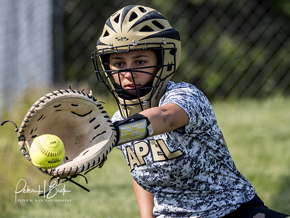 Lapel Softball 2019 0985