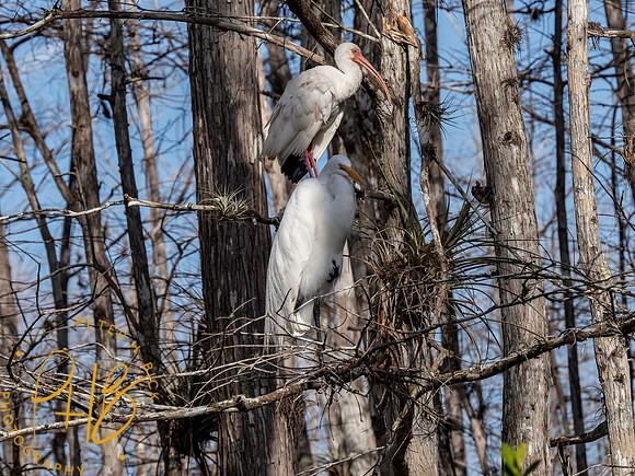 2022 Florida Trip 0165-Edit
