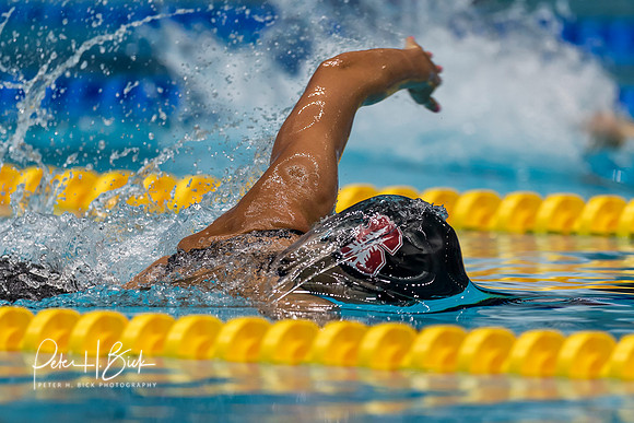 katie-ledecky-usa-nats-2017 0426