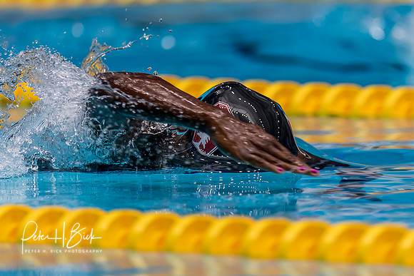simone-manuel-usa-nats-2017 0477