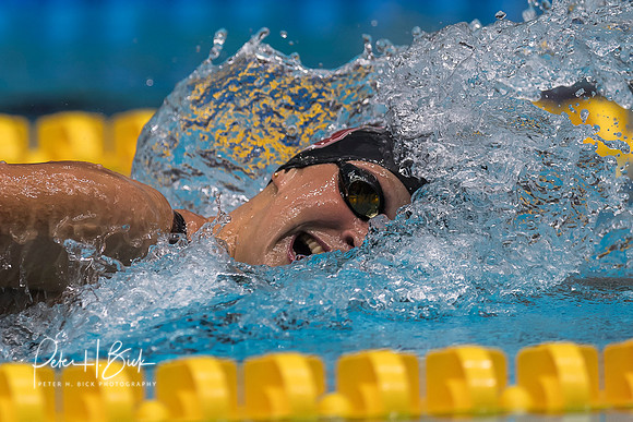 katie-ledecky-usa-nats-2017 1198