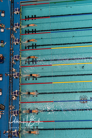 venue-backstroke-start-usa-nats-2017 1918