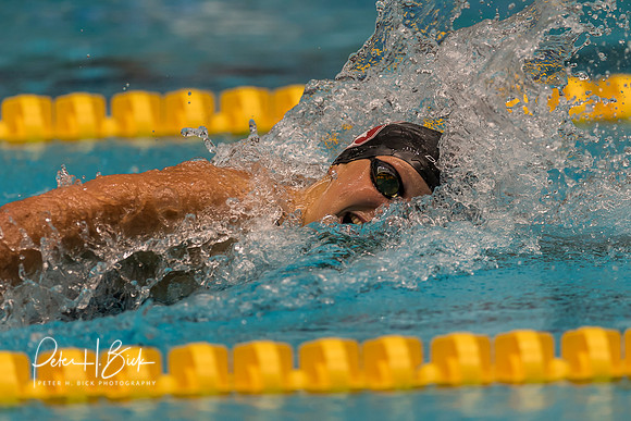 katie-ledecky-usa-nats-2017 2227
