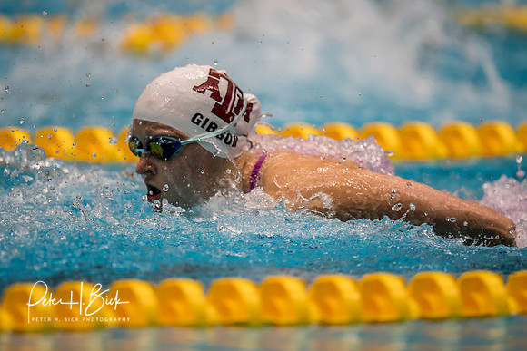sarah-gibson-usa-nats-2017 3064