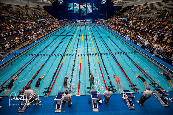 venue-backstroke-start-usa-nats-2017 3248