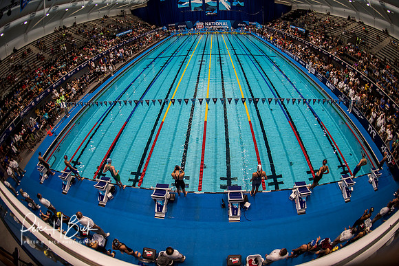 venue-backstroke-start-usa-nats-2017 3264