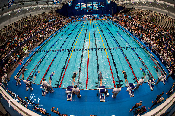 venue-backstroke-start-usa-nats-2017 3269