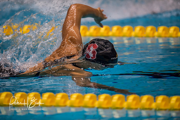 katie-ledecky-usa-nats-2017 4069