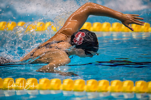 katie-ledecky-usa-nats-2017 4070