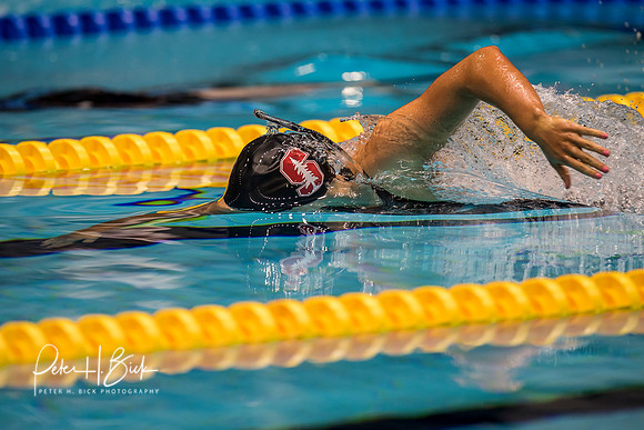 katie-ledecky-usa-nats-2017 4665