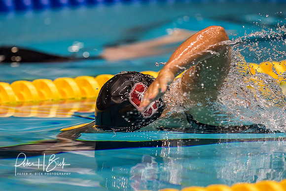 katie-ledecky-usa-nats-2017 4666