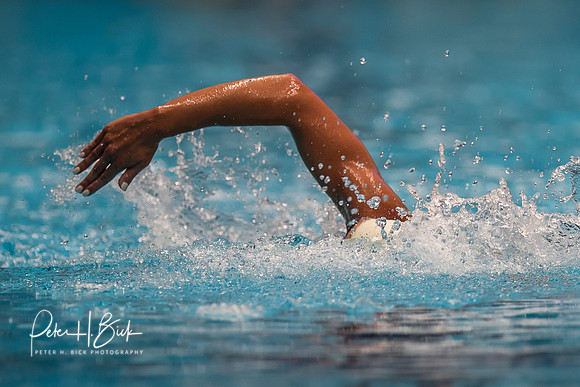 ashley-twitchell-usa-nats-2017 5622