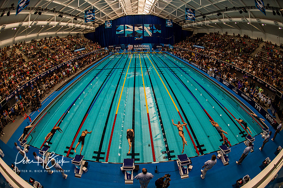 venue-50-free-c-final-usa-nats-2017 6299