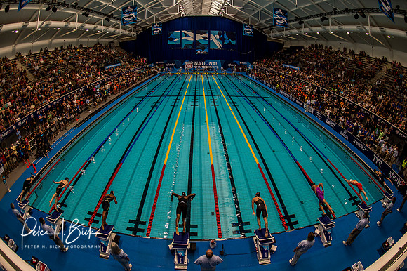 venue-50-free-final-usa-nats-2017 6361