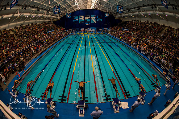 venue-50-free-a-final-usa-nats-2017 6546