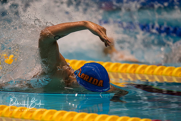 caeleb-dressel-usa-nats-2017 6567