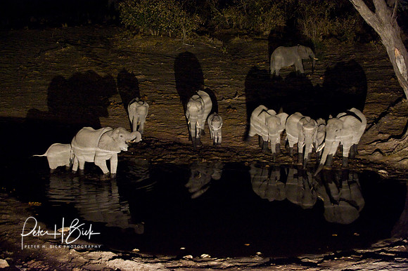 0048Africa 08 7690