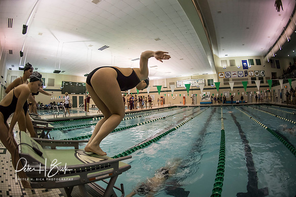 Zionsville Swimming 2017-18 0058