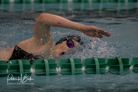 Zionsville Swimming 2017-18 0115