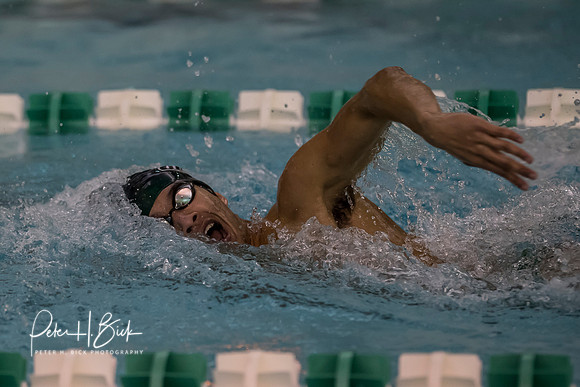 Zionsville Swimming 2017-18 0128