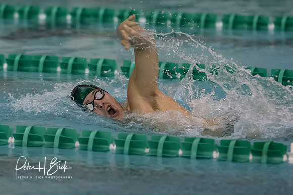 Zionsville Swimming 2017-18 0130