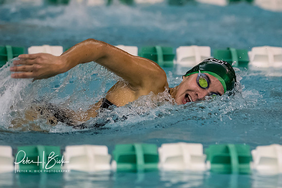 Zionsville Swimming 2017-18 0163
