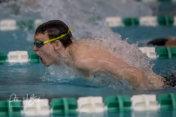 Zionsville Swimming 2017-18 0176
