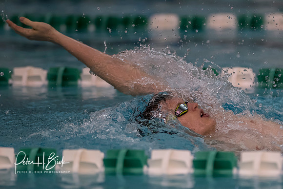 Zionsville Swimming 2017-18 0183