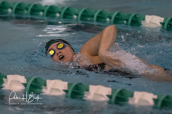 Zionsville Swimming 2017-18 0270