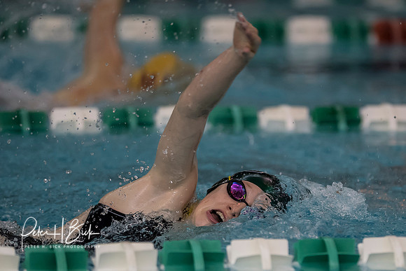 Zionsville Swimming 2017-18 0331
