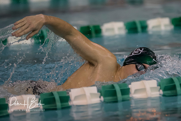 Zionsville Swimming 2017-18 0388