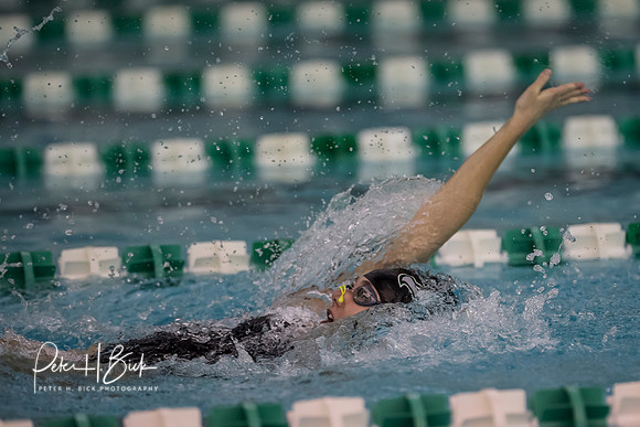 Zionsville Swimming 2017-18 0530