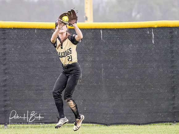 Lapel Softball 2019 0825