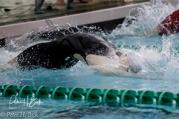 Zionsville Swimming 2017-18 0741
