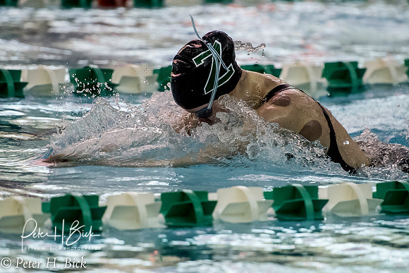 Zionsville Swimming 2017-18 0749