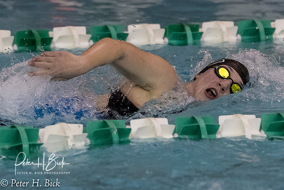 Zionsville Swimming 2017-18 0806