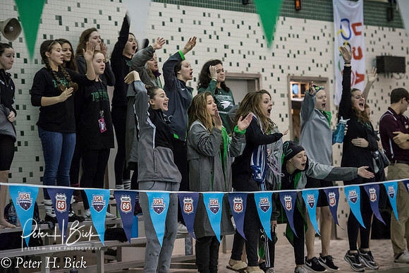 Zionsville Swimming 2017-18 0878